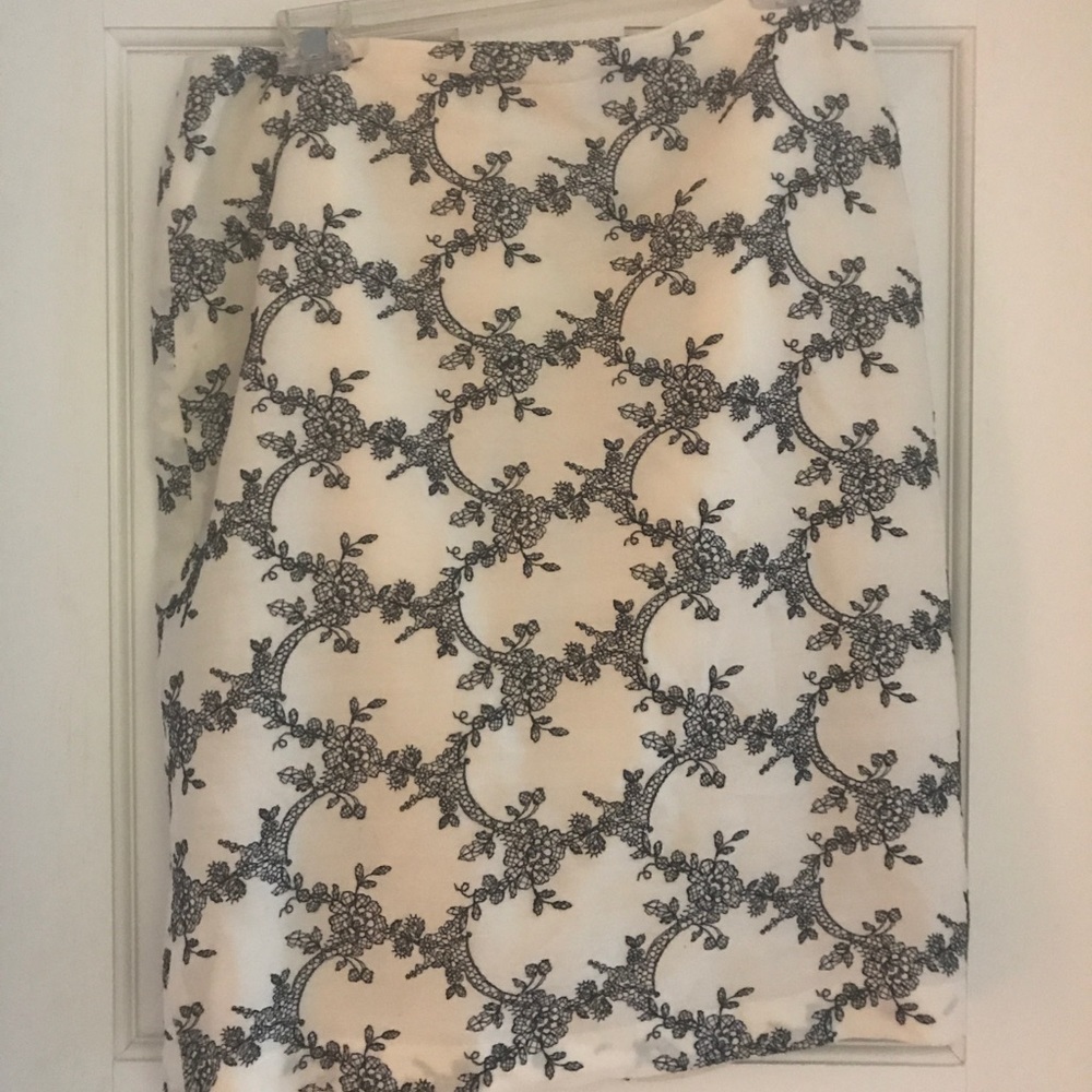 Ann Taylor skirt